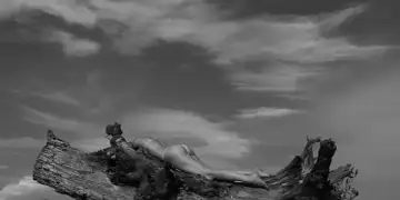 „Nud. Proiecție de Trup și Stare” – un nou album de fotografie semnat de Răzvan Voiculescu