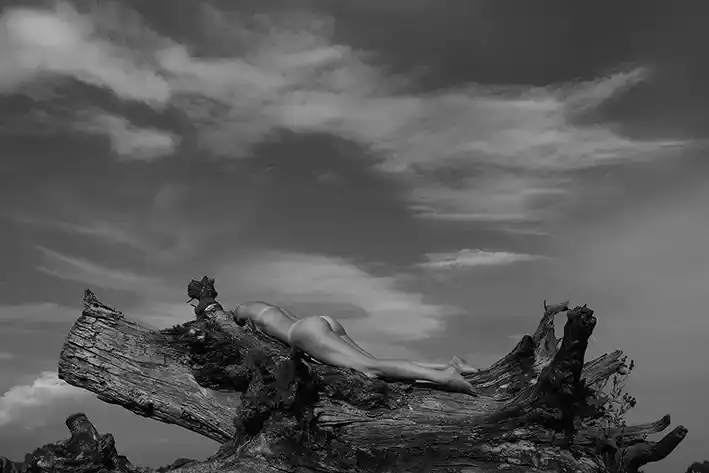 „Nud. Proiecție de Trup și Stare” – un nou album de fotografie semnat de Răzvan Voiculescu