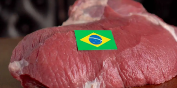 Brazilia depăşeşte SUA, devenind cel mai mare producător de carne de vită din lume