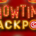 (P) Jackpotul care-ți schimbă viața – peste 580.000 euro câștigați online la 32rosu
