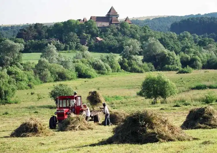 Mureș: Program-pilot de acordare a 200 de euro pe hectar la Apold pentru păstrarea biodiversității fânețelor