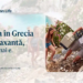 Metropolitan Life lansează asigurarea Viață bună pentru despăgubiri financiare pentru situațiile neprevăzute din viața de zi cu zi